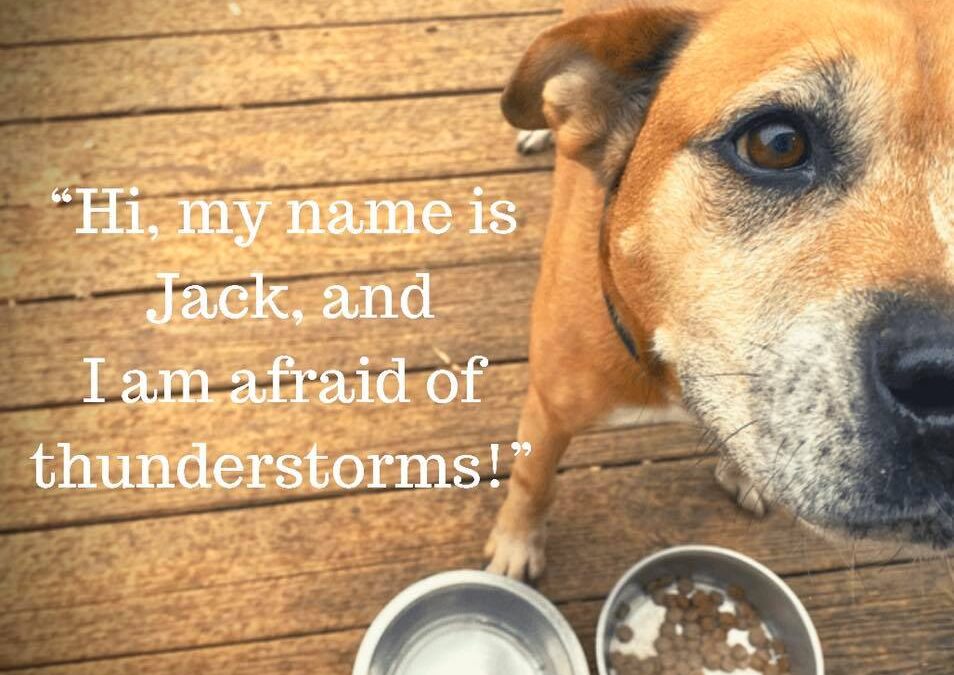 Jack Has Anxiety, How We Manage